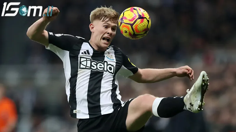 phong do gan day cua newcastle vs brighton