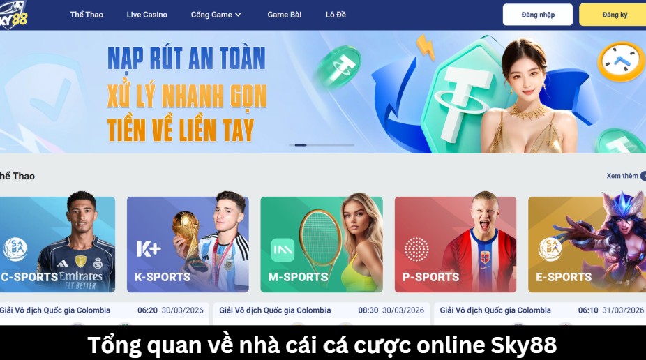 Tổng quan về nhà cái cá cược online Sky88