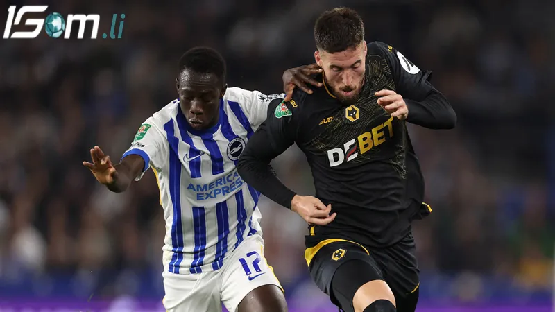 phong do gan day cua brighton vs wolves