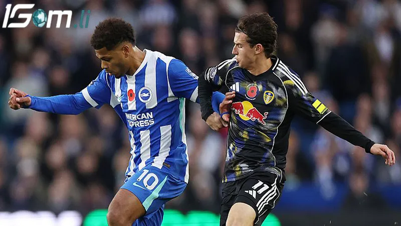 phong do gan day cua leeds vs brighton