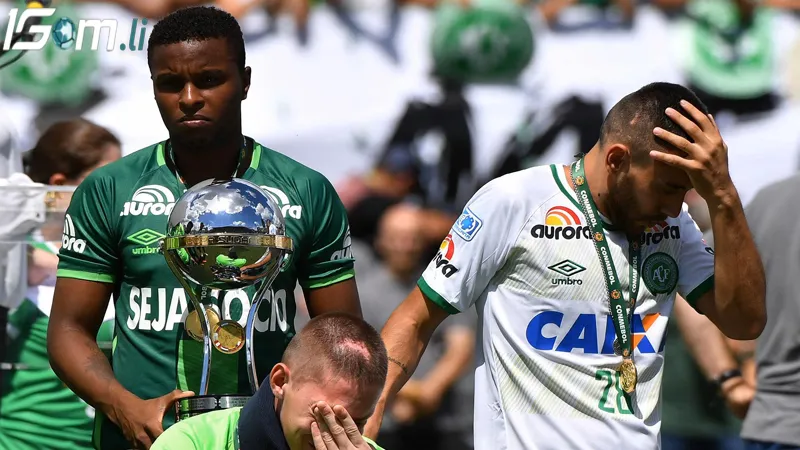 phong do gan day cua palmeiras sp vs chapecoense sc