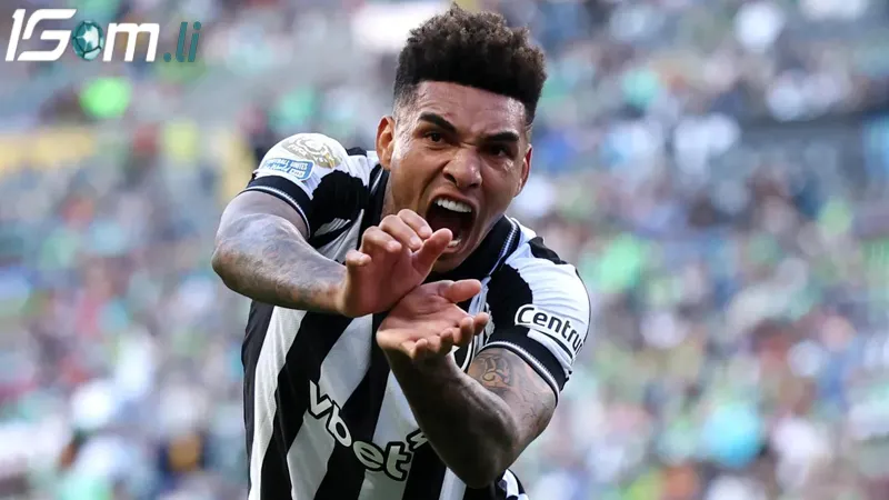 phong do gan day cua botafogo rj vs santos