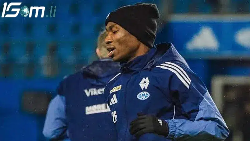 phong do gan day cua molde vs brann