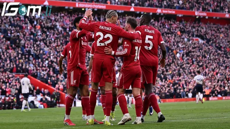 phong do gan day nhat cua ipswich vs liverpool